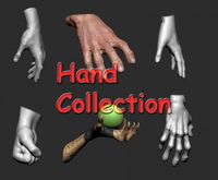 Hand Collection3d model
