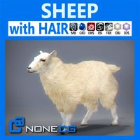 Rigged Sheep
