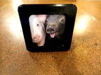 picture frame by Povhill