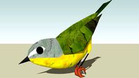 Nashville Warbler
