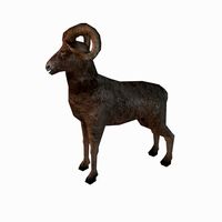 Low poly ram3d model