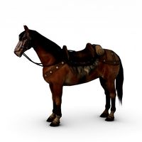 Horse with fur and saddle3d model