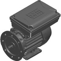FLANGE_FF