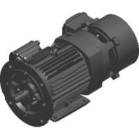 FLANGE_FF