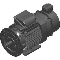FLANGE_FF