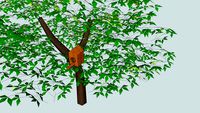 birdhouse in tree