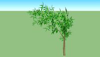 Bambu mosso
