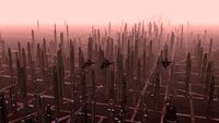 city 6