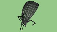 Replicator 'Beetle' form