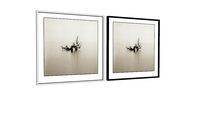 Quadros