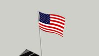 Flag in Newark