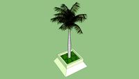 palmera en base