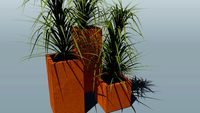 Cortenstyle Trend Topper planter group with Yuca plant