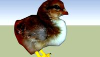 one chichen