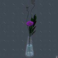 Gerbera daisy in vase