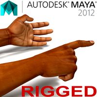 African Man Hands 2 Rigged for Maya 3D Model