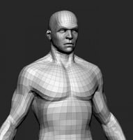 Male Basemesh 3D Model