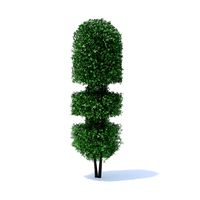 Tall Hedge