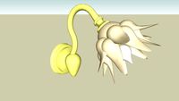 appliques