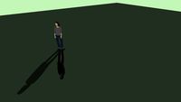 Reflective Shadow Test