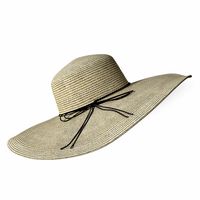 Journey Straw Hat