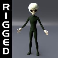 Gray Extraterrestrial Alien