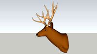 mule deer head