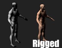 Game Ready Rigged Male