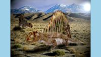 Dimetrodon milleri