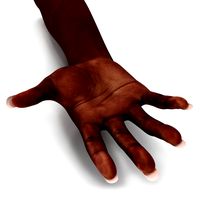 Female Hand African American 2 Rigged