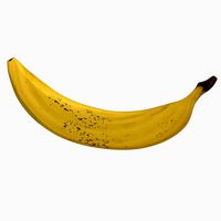 Realistic Banana Fruit