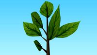 tree branch with leaves