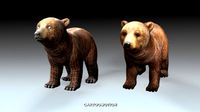 Baby Bear