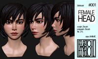 Female Anime Head #1