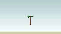 PALM