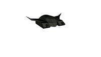 Shadow Glider