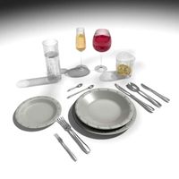 Plate set 13d model
