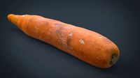 Real Carrot3d model