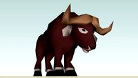 African Buffalo (adult male) color