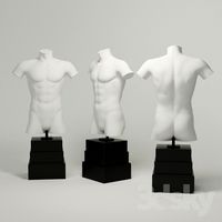 body