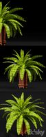 PLANTS 9