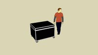Large Flight Case