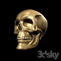 Skull
