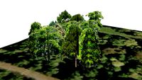 Weimar Ilm Park 1.12