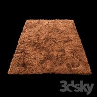 Carpet