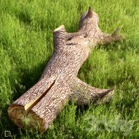 Dmodel_trunk