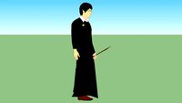 Harry Potter (2d)