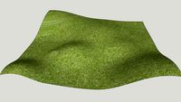 terrain
