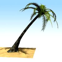 3D Palm Tree Model