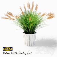 IKEA Kalasa Plant Pot and Little Barley